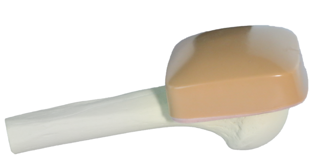 Teleflex Adult Humeral Head Training Bone W/ Skin Patch - For Training Purposes Only