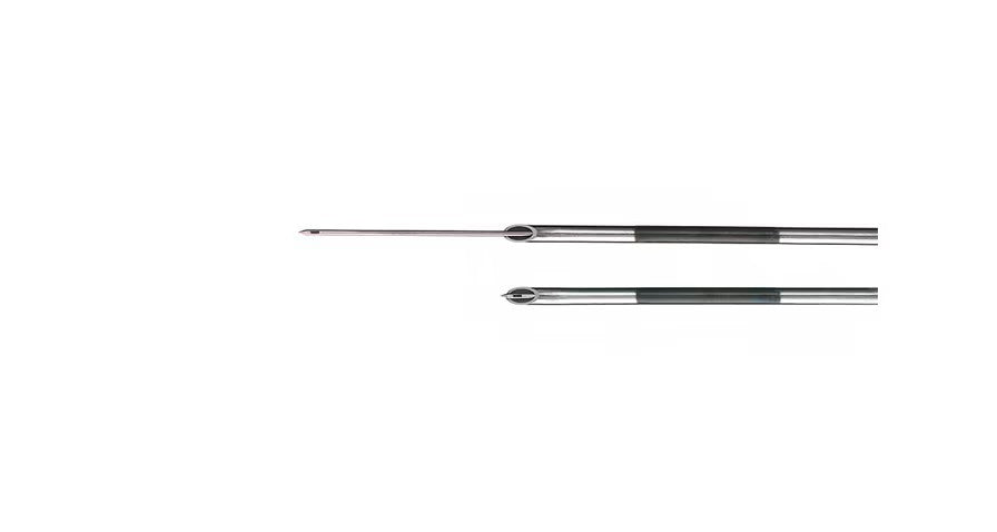 BD Whitacre Spinal Needle with Introducer 25GA 3-1/2.  Pack of 25