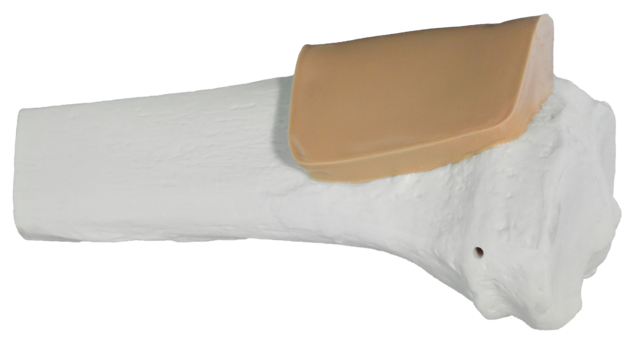 Telflex Adult Proximal Tibia Training Bone Each