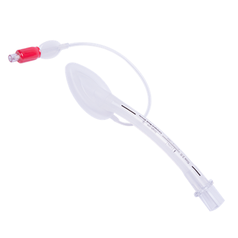 Laryngeal Airway Mask - Silicone Disposable, 2 (Red)